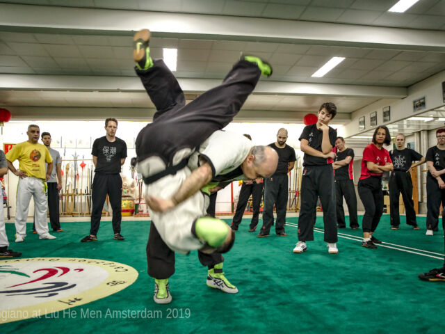 Seminar Shuai Jiao